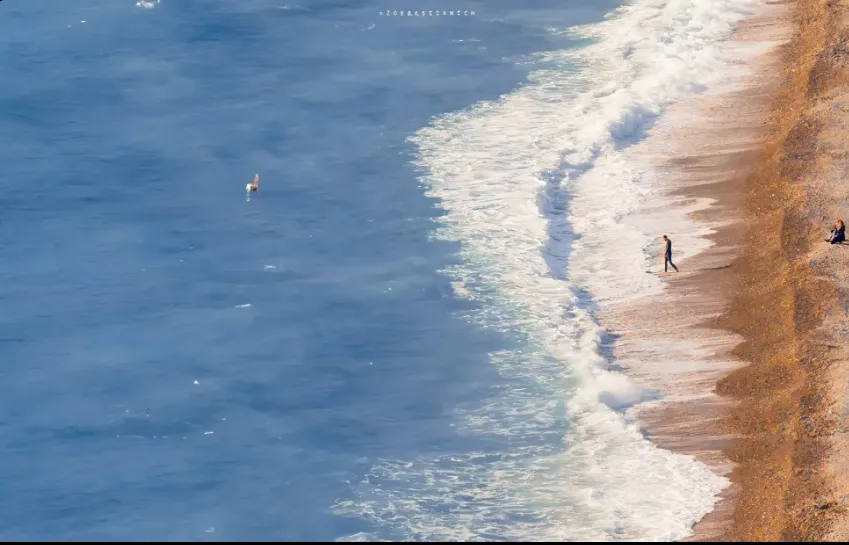 DDIA 笔记：第八章：事务 (Transactions)